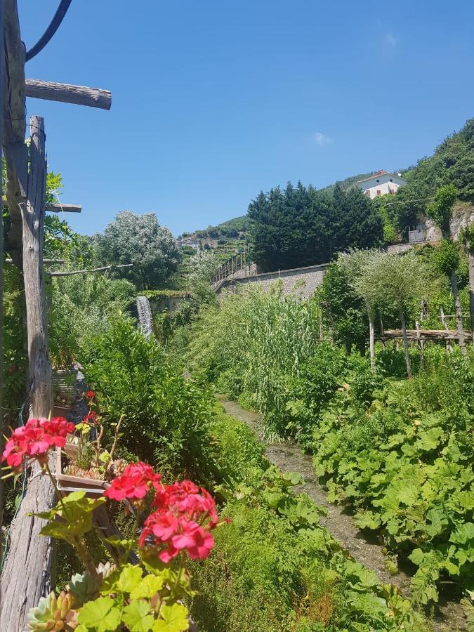 Casa Nonna Anna Villa Maiori Exterior foto