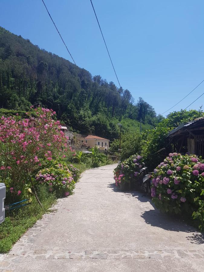 Casa Nonna Anna Villa Maiori Exterior foto