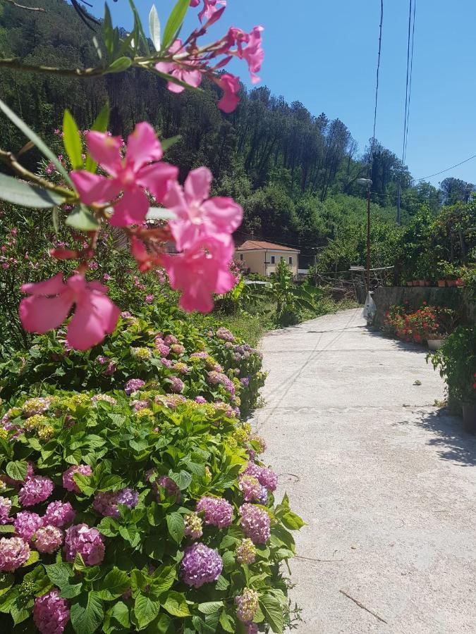 Casa Nonna Anna Villa Maiori Exterior foto