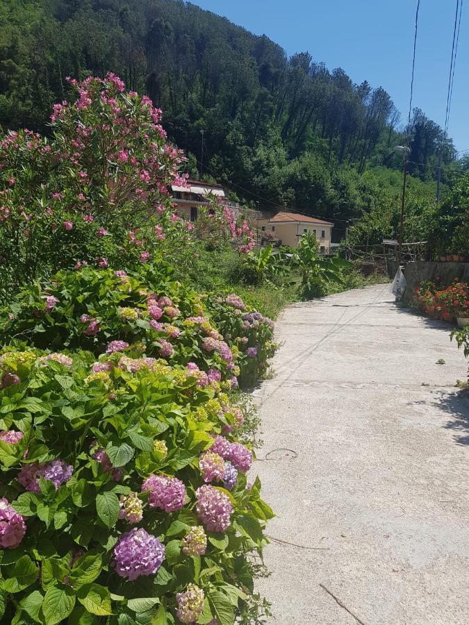 Casa Nonna Anna Villa Maiori Exterior foto